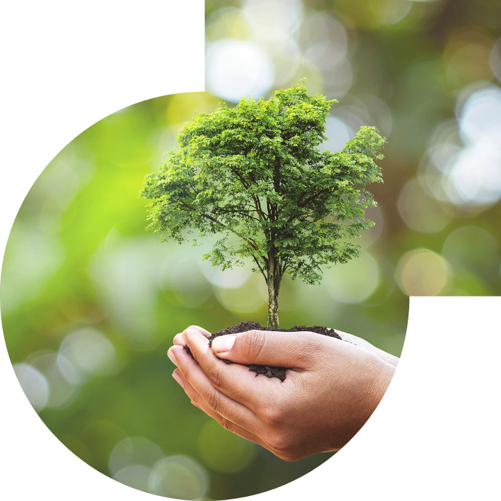 关怀人类、文化、环境与社会